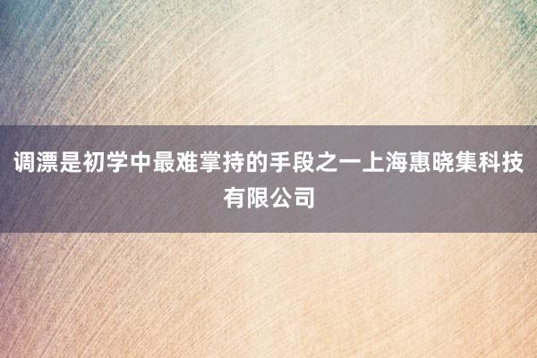 调漂是初学中最难掌持的手段之一上海惠晓集科技有限公司