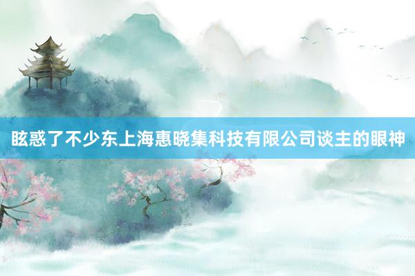 眩惑了不少东上海惠晓集科技有限公司谈主的眼神