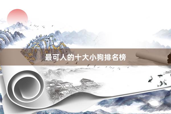 最可人的十大小狗排名榜
